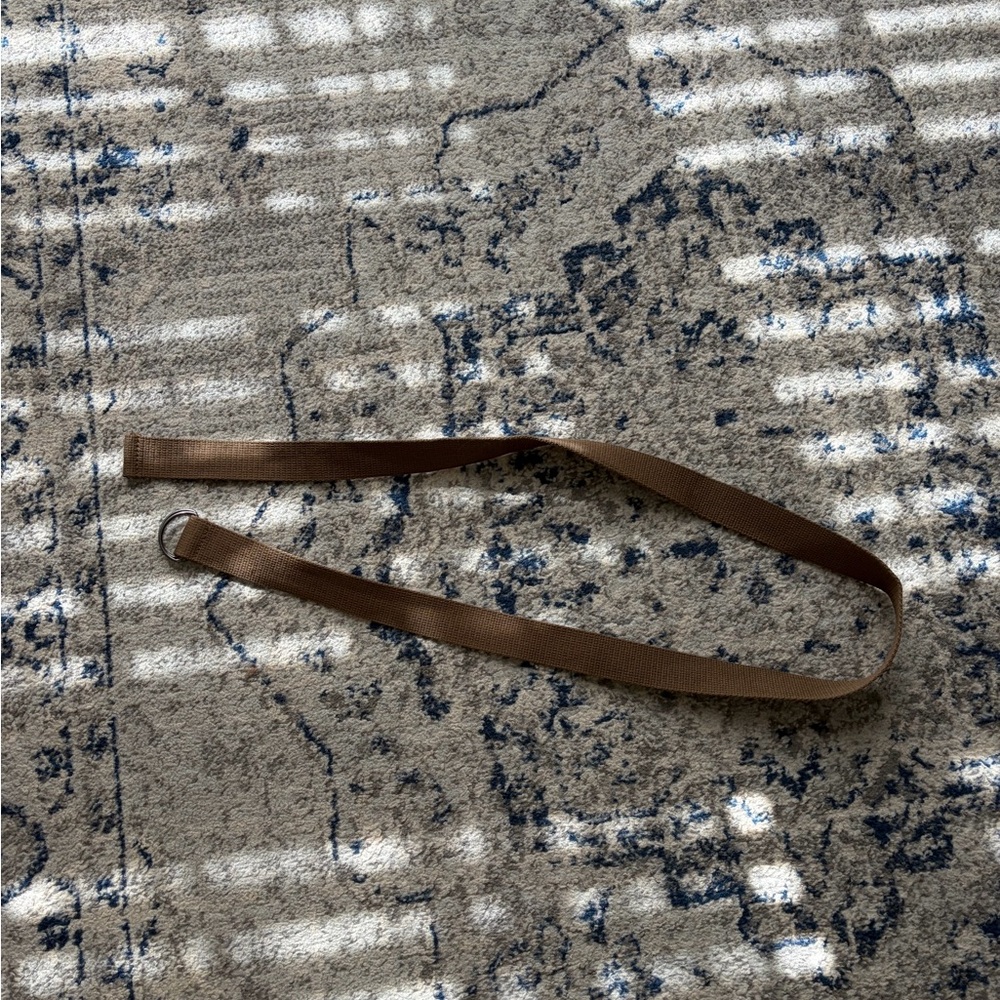 Men's Brown Polyester Belt